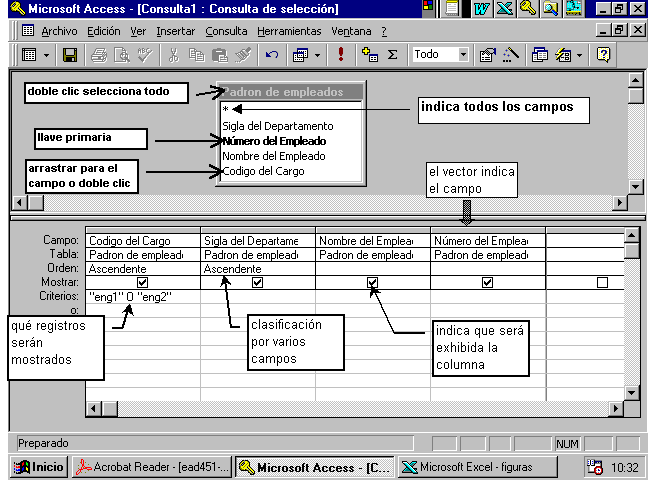 Manual De Access Consultas