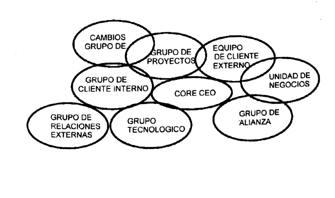 Cluster organization