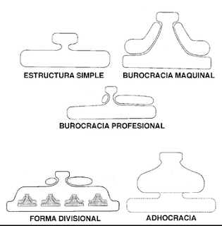 Descripción de la imagen